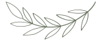 Leaf-Icon
